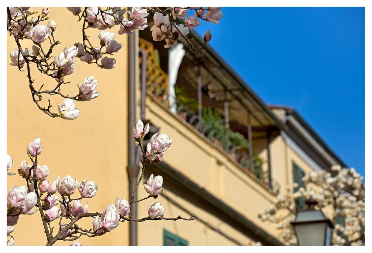 Casa San Girolamo Historic Flat With Cosy Terrace In Lucca'S City Centre Exterior foto